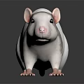 White and Gray Rat with Pink Ears and Paws on Dark Shiny Surface