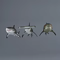Three Different Sharks Swimming In Ocean Water With Distinct Fins And Body Shapes