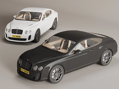 Two Luxury White And Black Coupe Cars With Beige Interior Design 3d model