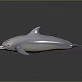 White Dolphin 3D Rendering With Sleek Body And Dark Background Reflection 3d model