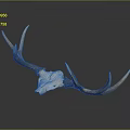 Realistic Deer Skull With Natural Antlers On Dark Display Background