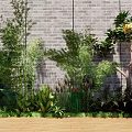 Lush Green Plants Including Bamboo Ferns And Flowering Tree By Brick Wall On Wooden Floor