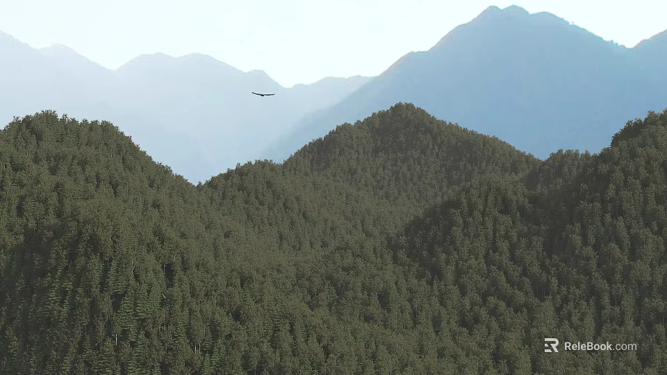 Lush Mountain Forest Landscape Featuring Distant Flying Bird And Scenic Peaks 3d model 