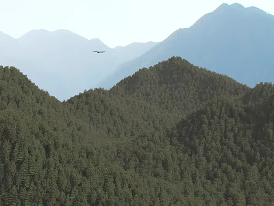 Lush Mountain Forest Landscape Featuring Distant Flying Bird And Scenic Peaks 3d model