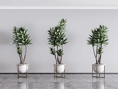Elegant Bonsai Potted Green Plants with White Pots and Metal Stands in Minimalist Interior 3d model