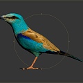 Modern Birds Birds 3d model