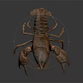 Aquatic Brown Crayfish With Detailed Claws And Textured Shell On Plain Background