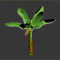 3D Banana Plant Featuring Large Green Leaves Yellow Brown Trunk And Pink Yellow Flower Bud