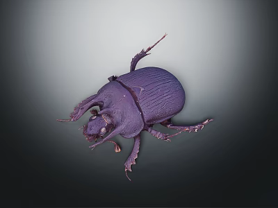 Purple Beetle With Shiny Exoskeleton Long Legs And Antennae On Dark Background 3d model