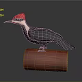 Woodpecker with red head black body white neck on red wooden log with gray background