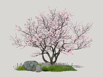 modern cherry tree peach blossom 3d model