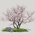 Beautiful Arbor Adorned with Pink Blossoms and Green Grass Around Stones in Natural Setting