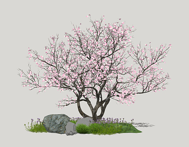 modern cherry tree peach blossom 3d model