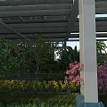 Scenic Road Facility With Covered Roof Beams Columns And Colorful Flowers Trees Palms