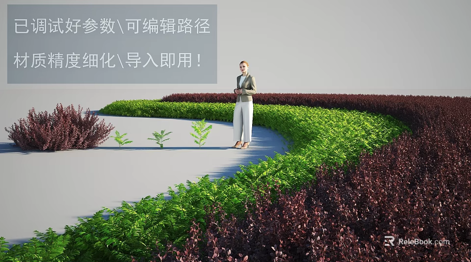 Vibrant Shrub Landscape Design With Green And Purple Foliage And Curved Pathway In Garden 3d model 