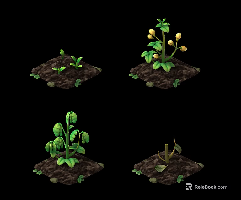 Crop Plants in Various Growth Stages with Seedlings Leaves Flowers and Pods in Soil 3d model 