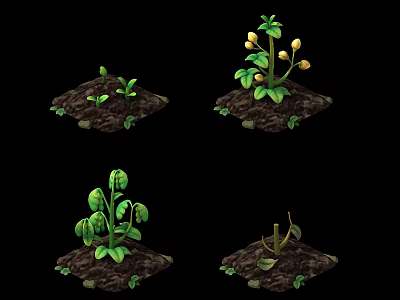 Crop Plants in Various Growth Stages with Seedlings Leaves Flowers and Pods in Soil 3d model