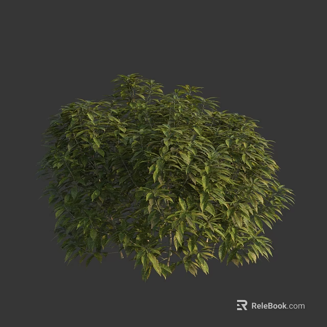 Lush Green Arbor with Dense Foliage and Healthy Branches Showing Natural Growth 3d model 
