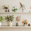 Stylish Interior Wall Shelves With Assorted Vases And Diverse Decorative Flowers