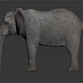 Detailed Elephant Sculpture With Large Ears Long Trunk And Textured Skin On Dark Reflective Surface