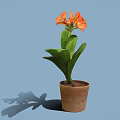 Orange Flowers With Green Leaves In Brown Pot On Blue Background