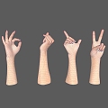 hand gesture palm finger pretty hand woman's hand 3d model