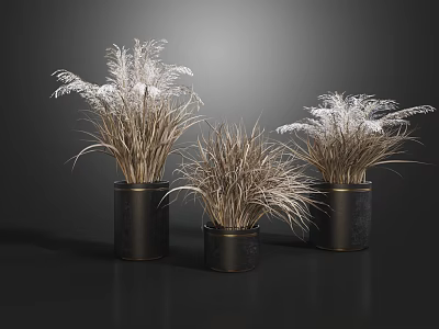 Three Bonsai Potted Plants With Dried Ornamental Grass In Black Metal Planters 3d model