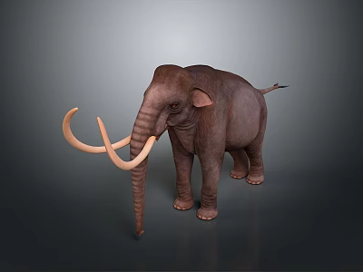 Realistic Mammoth 3D Render With Long Curved Tusks And Gray Background 3d model