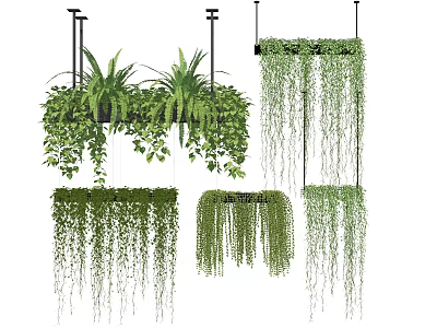 Different Types of Hanging Basket Greenery with Cascading Vines for Indoor Outdoor Decoration 3d model