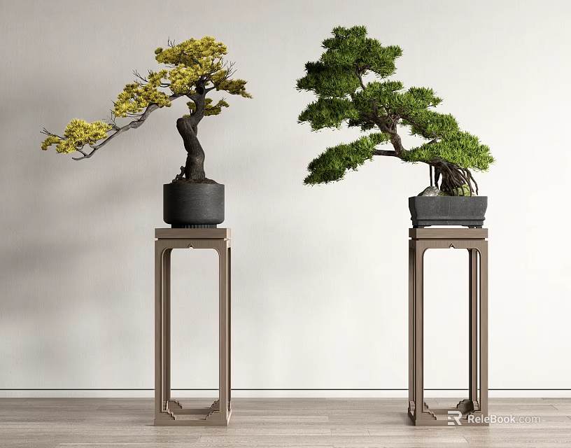 Two Decorative Indoor Bonsai Plants With Lush Foliage On Wooden Stands 3d model 