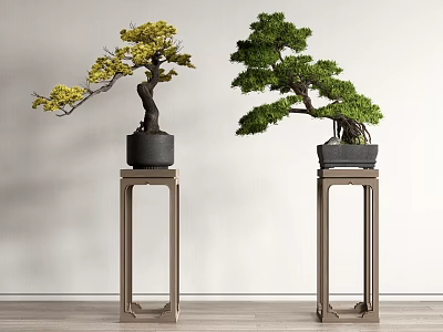 Two Decorative Indoor Bonsai Plants With Lush Foliage On Wooden Stands 3d model