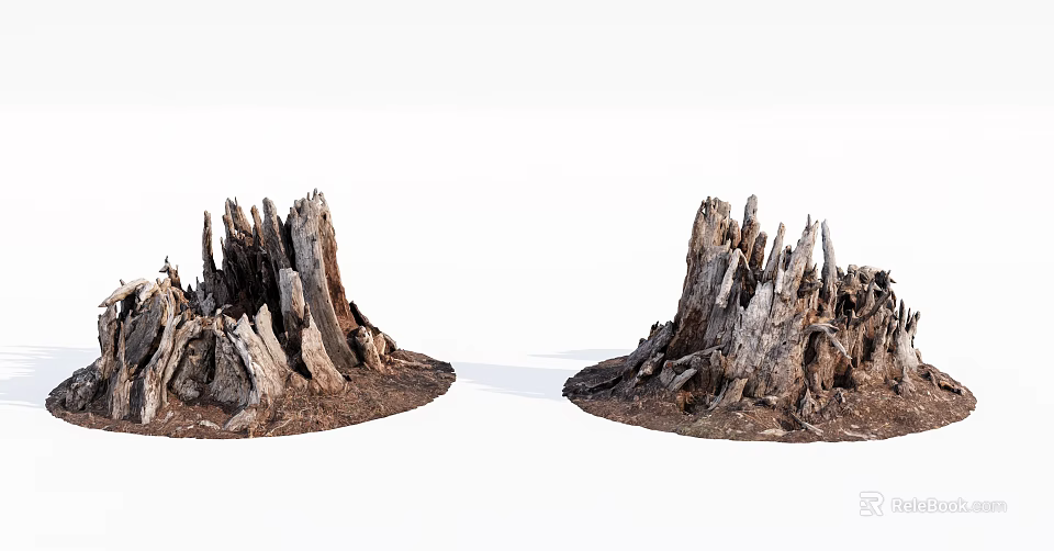Rustic Wood And Stone Stumps Display Natural Weathered Texture And Charm 3d model 