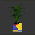 Lush Green Indoor Fern Plant In Modern Geometric Colorful Cubic Planter