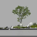 Stylish Miniature Garden Ornament With Small Trees Stones Green Plants And Lighting