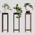 Multiple Wooden Plant Stands With Bonsai Plants In Various Decorative Designs