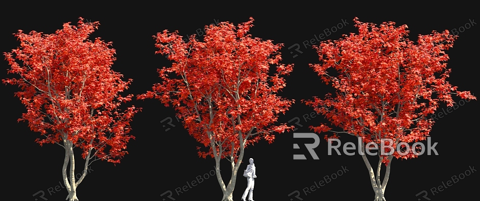 Cong Red Maple Bonsai New Chinese Style Solitary Tree Planting Ornaments Outdoor Sitches model