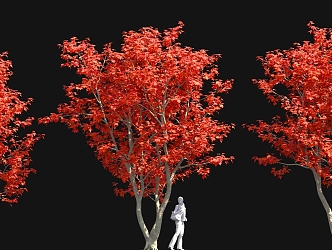 Cong Red Maple Bonsai New Chinese Style Solitary Tree Planting Ornaments Outdoor Sitches 3d model