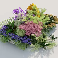 Vibrant Garden Landscape with Purple Yellow Pink Green Flowers and Lush Foliage Featuring Various Plants