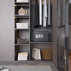 Home cloakroom storage wardrobe, etc. 3d model