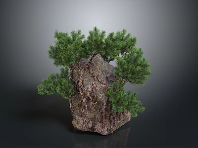 Natural Bonsai Tree On Rock With Lush Green Foliage And Textured Bark 3d model