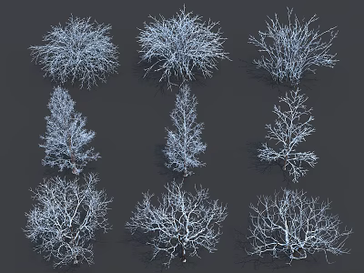 Multiple Leafless Winter Trees With Intricate Branches On Dark Background 3d model