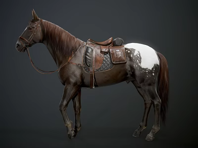 Brown Horse With White Patch On Body Wearing Saddle And Bridle Against Dark Background 3d model