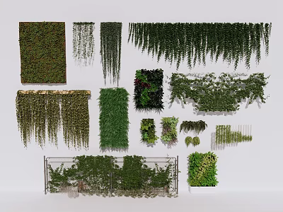 Green Plant Wall Various Designs and Hanging Vertical Plant Types for Interior 3d model