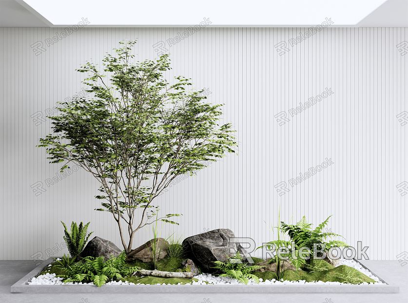 Modern landscape sketch courtyard landscape sketch landscape tree fern plant model