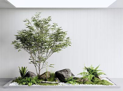 Modern landscape sketch courtyard landscape sketch landscape tree fern plant 3d model