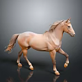 Light Brown Horse Walking on Black Ground with Gray Background and Flowing Mane and Tail