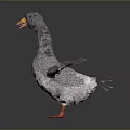 Gray Goose With Orange Beak And Feet Wings Spread On Dark Background