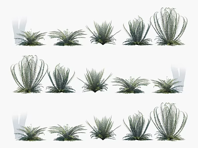 Various Green Bush Varieties for Landscape Design and Garden Decoration 3d model