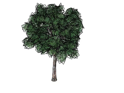 Lush Green Arbor Featuring Dense Foliage And Strong Trunk In Natural Scene 3d model