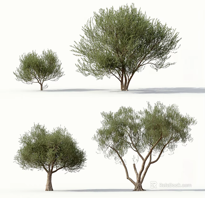 Different Arbor Types with Green Foliage and Natural Crown Shapes 3d model 